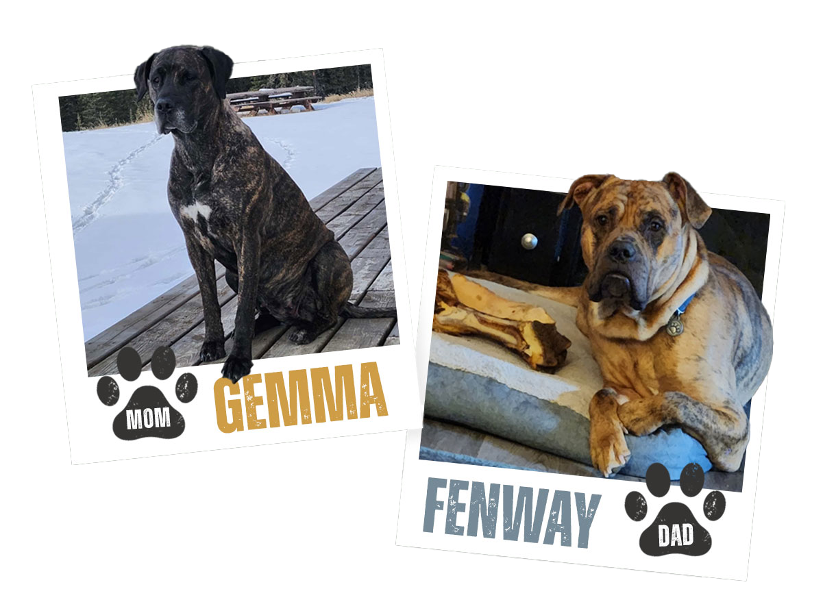 GemmaFenway