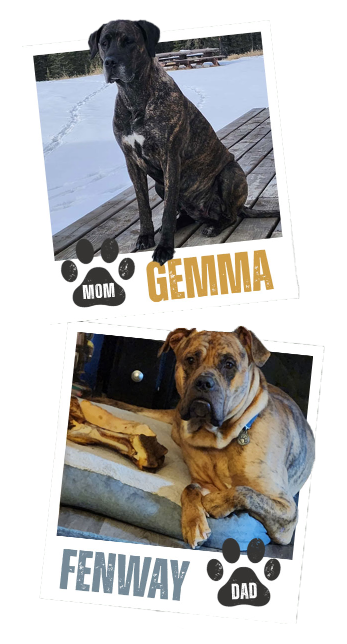 GemmaFenway