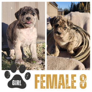 Female 8