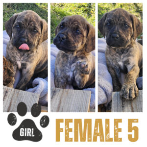 Female 5